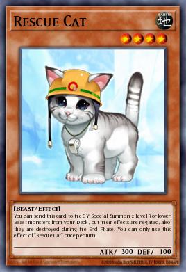 Rescue Cat FET-EN033