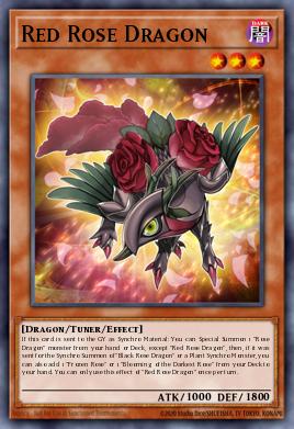Red Rose Dragon MP25-EN037