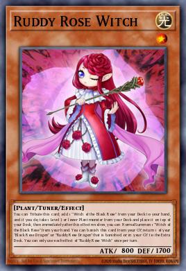 Ruddy Rose Witch LIOV-EN010