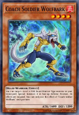 Coach Soldier Wolfbark MAGO-EN120