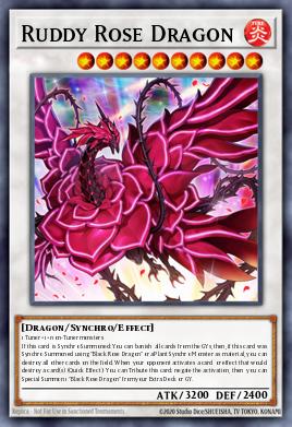 Ruddy Rose Dragon LIOV-EN035