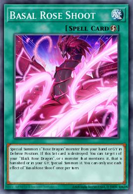 Basal Rose Shoot LIOV-EN059