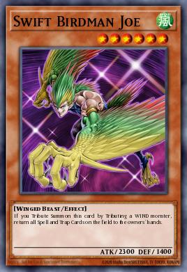 Swift Birdman Joe DR04-EN192