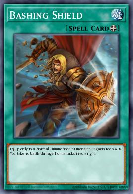 Bashing Shield DEM3-EN016