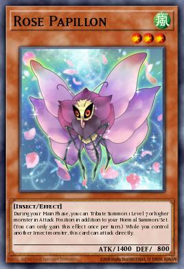 Rose Papillon JP233