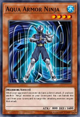 Aqua Armor Ninja SP13-EN017