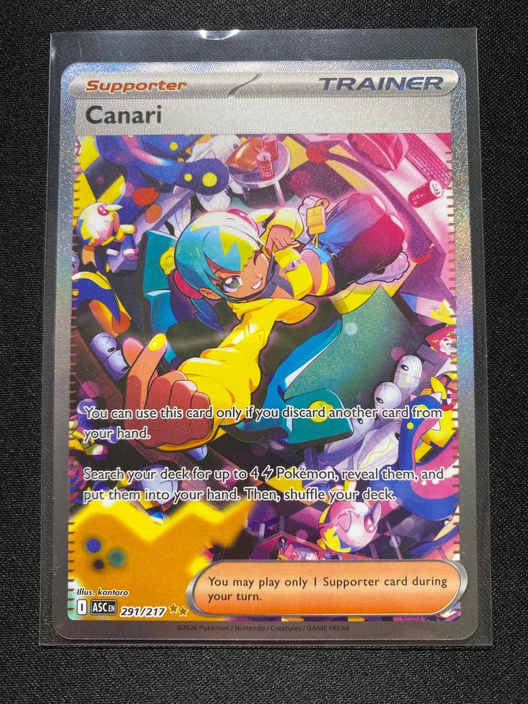 Canari 291 - Bild 1