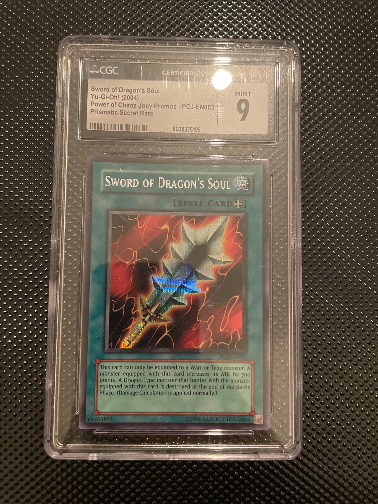Sword of Dragon's Soul PCJ-EN003